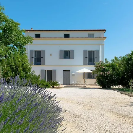 B&B Casale Savini-2