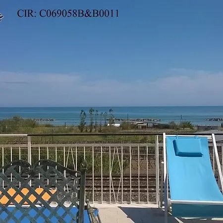 B&B Falcone-2